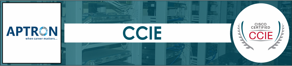 Best ccie training institute in noida