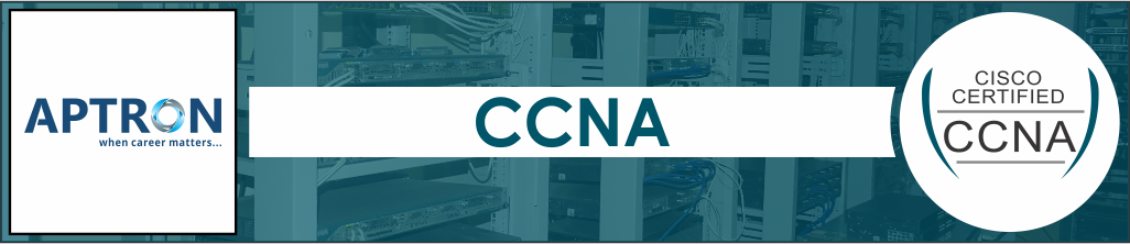 Best ccna training institute in noida