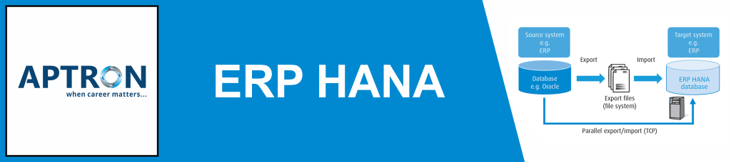 Best erp-sap-hana training institute in noida