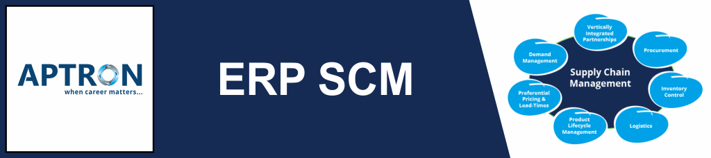 Best erp-sap-scm training institute in noida